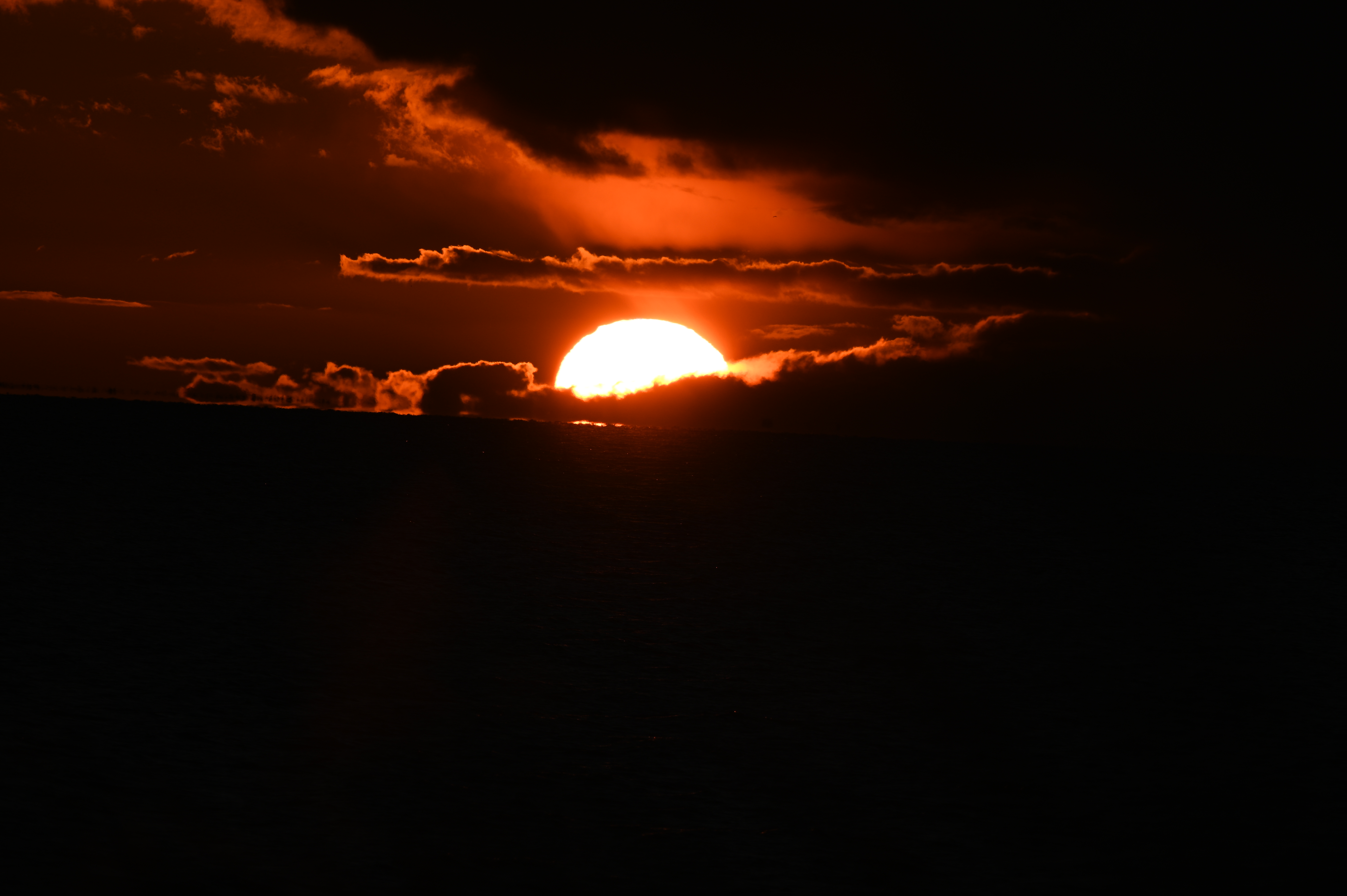 2025/10/18 - walk/DSC_0483.JPG